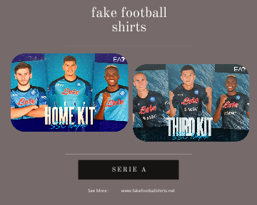 fake Napoli football shirts 23-24